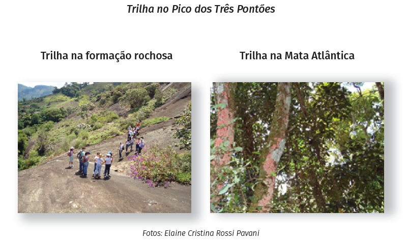 Jogo de tabuleiro de Educação Ambiental Trilha do Planeta disponível para  download - Sistema de Bibliotecas